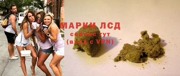 эйфоретик Алзамай