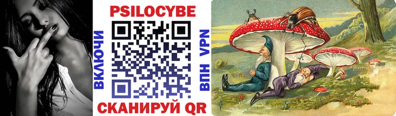 ссылка на мегу ONION  закладка  Порхов  Псилоцибиновые грибы прущие грибы 